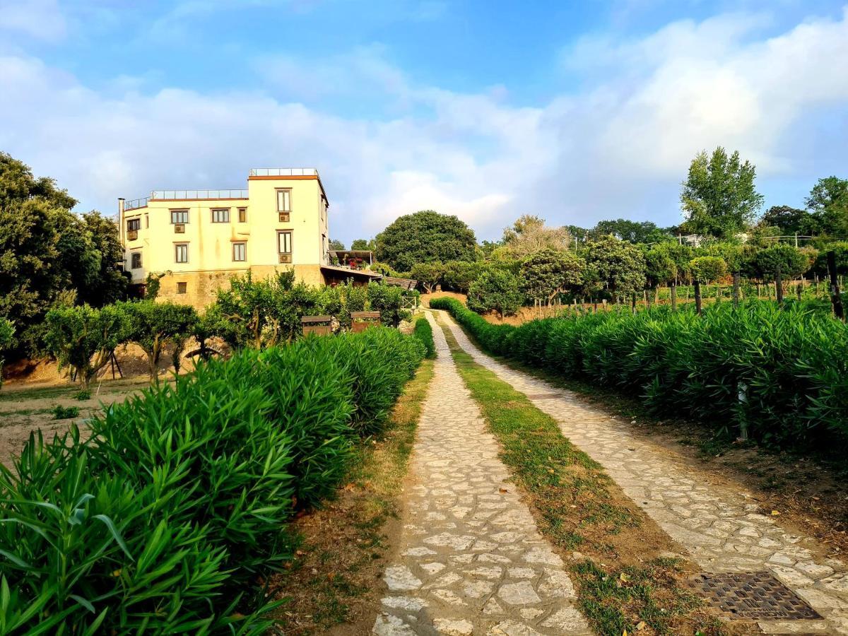 Tenuta Convivium Pozzuoli Ngoại thất bức ảnh