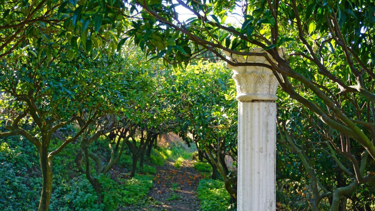 Tenuta Convivium Pozzuoli Ngoại thất bức ảnh