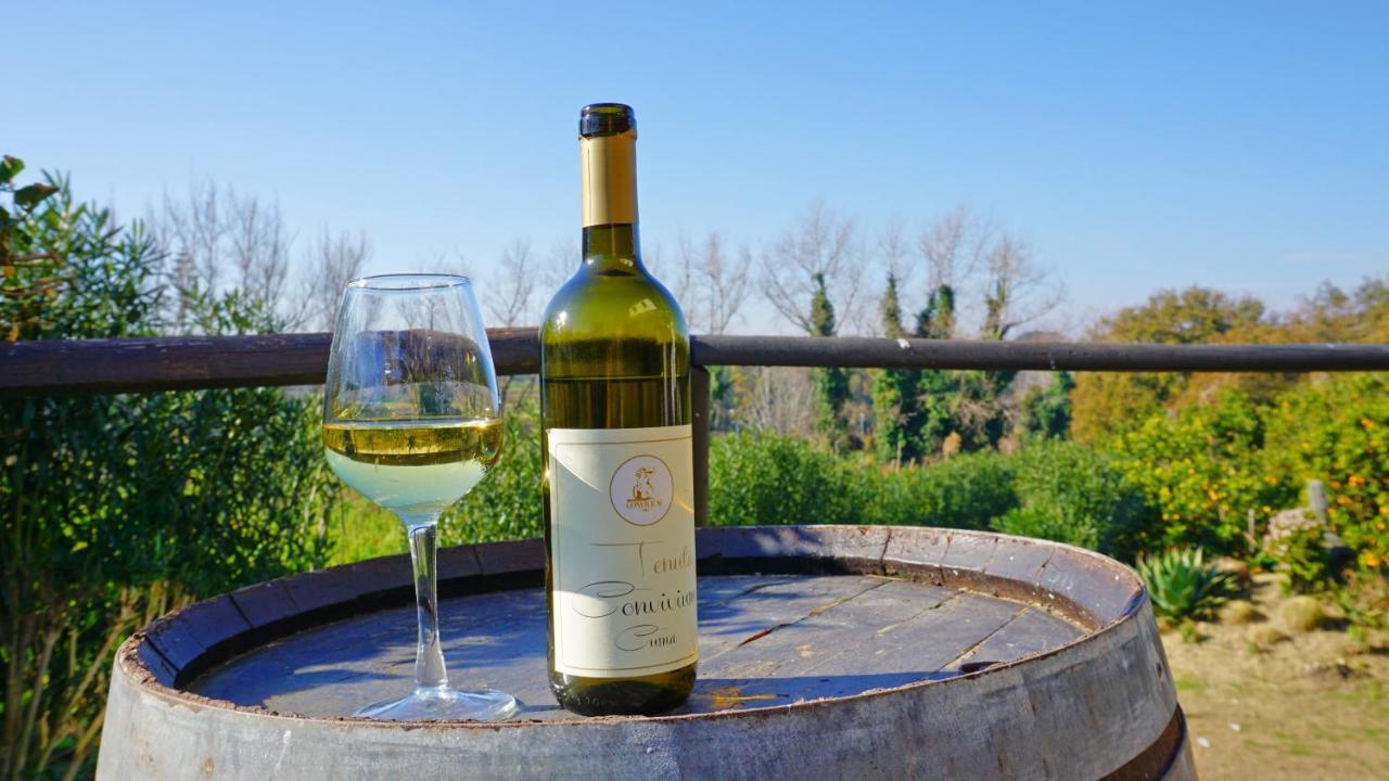 Tenuta Convivium Pozzuoli Ngoại thất bức ảnh